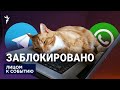 Россияне без WhatsApp и Telegram, есть ли замена?