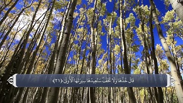 (20)سوره طه ترجمه صوتی تصویری قرآن کریم  #ترجمه_قرآن #ترجمه_فارسی_قرآن