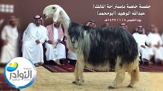 عرض العبودي بإستراحة أبومحمد الوهيد