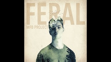 MFB Project - Féral