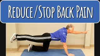 Top 3 Core Exercises to Reduce, Stop Back  Pain