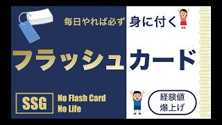 【フラッシュカード】絶対に覚えて欲しい｜全員〇〇マスター！ screenshot 2