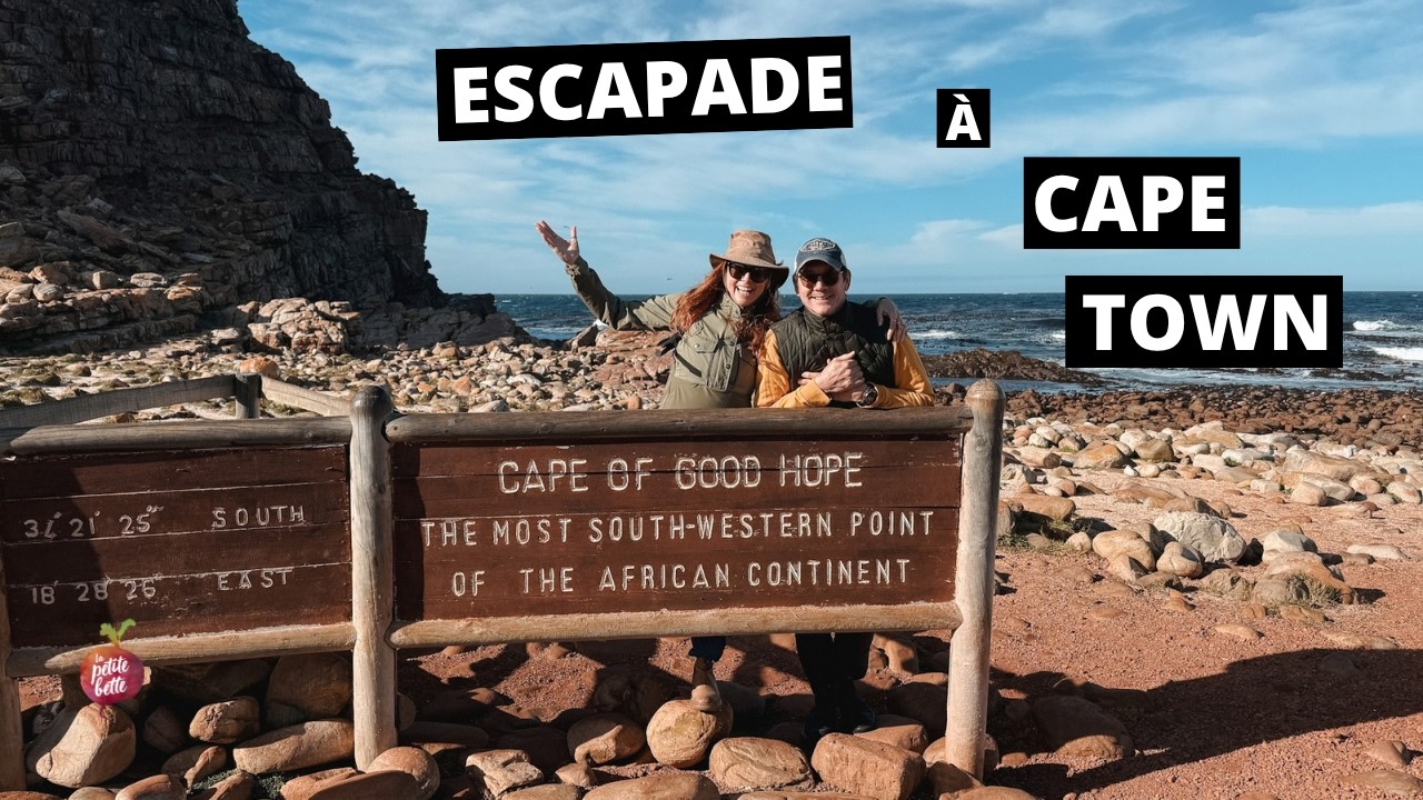 Cape Town en 4 jours 🇿🇦 | Que voir, manger et faire en Afrique du Sud