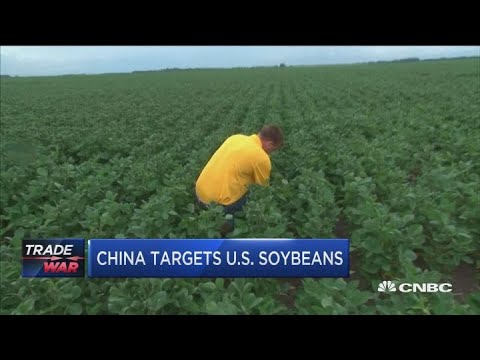 The Atlantic Politics & Policy Daily: Soy to the World