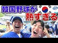 【感動】韓国プロ野球最高峰の超熱狂応援に心が震えた日【KBO観戦】