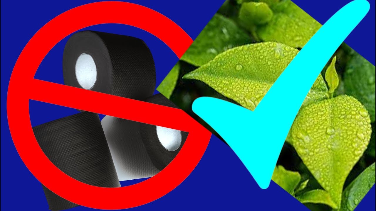 Vegan Toilet Paper Commercial Parody