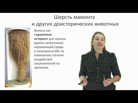 «Загрязнение окружающей среды в ХХ в. Климатические и экологические изменения»