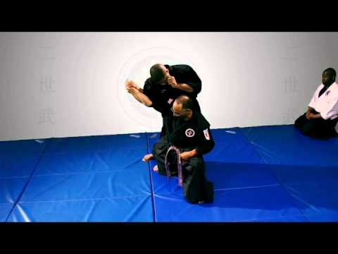 Hook Punch Defense - Tai otoshi - Joint Lock (The ...