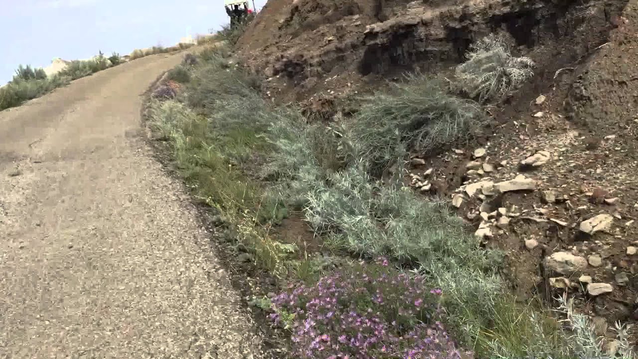 drumheller dinosaur trail golf club