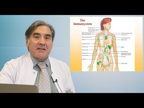 Video: Epi-Medikamente In Kombination Mit Immuntherapie: Ein Neuer Weg Zur Verbesserung Der Wirksamkeit Gegen Krebs