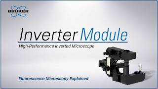 Inverted Configuration: When to Choose It | Fluorescence Microscopy Explained