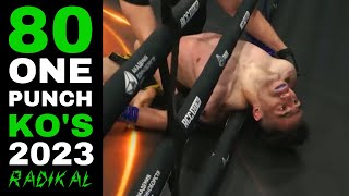 Best ONE PUNCH KNOCKOUTS of 2023 😱 The Best Fights of the Year 🥊 RADIKAL Videos 🔥