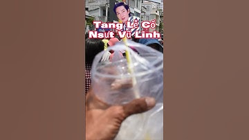 TANG LỄ CỐ NSƯT VŨ LINH quá khủng khiếp hàng ngàn người đến đưa tiễn Ông Hoàng Cải Lương #shorts