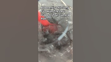 Apparently This Song Fits With The Last Video In Your Camera Roll