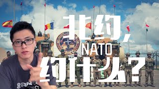 【聊聊NATO】北约，在约什么呢？|什么是北约？