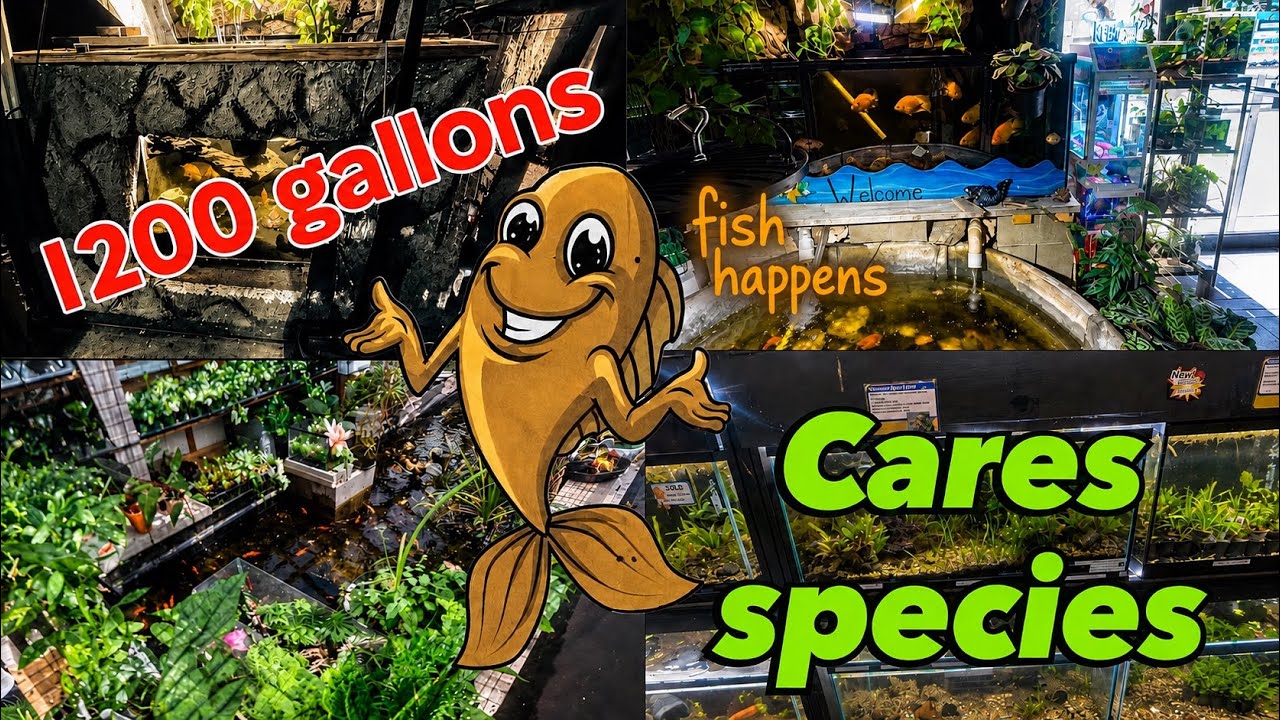 Fish happens updates & more 