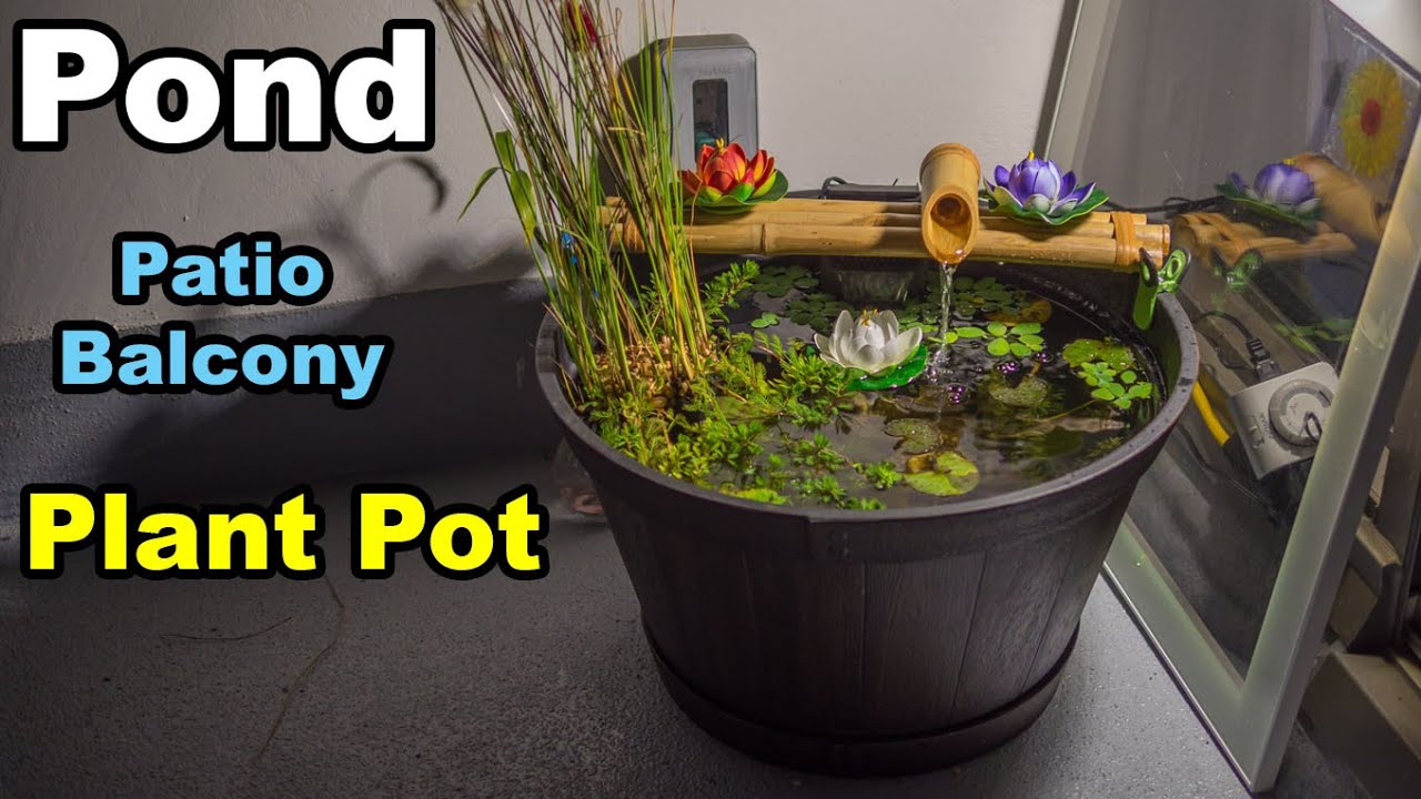 Pond in planter pot balcony patio condo apartment - YouTube