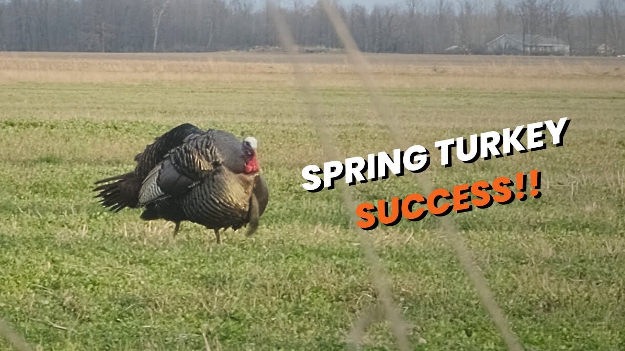 2025 Spring Turkey SUCCESS - Michigan longbeard