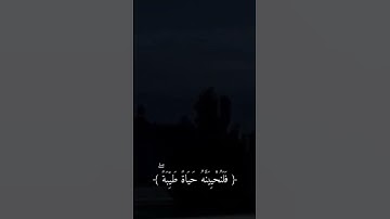 من عمل صالحًا من ذكر أو أنثى بصوت القارئ عبدالرحمن مسعد