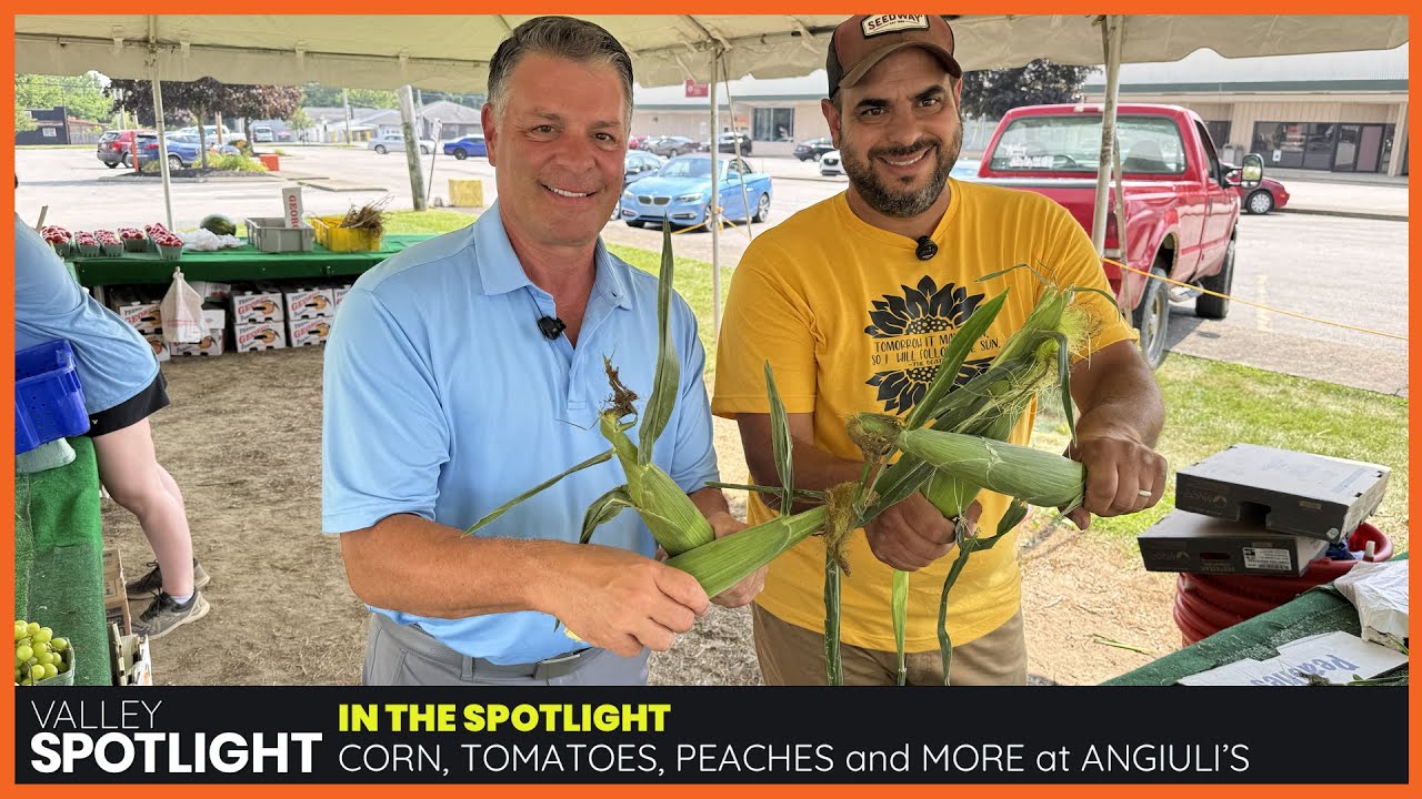 Corn, Tomatoes and Peaches are in season at Angiuli's!