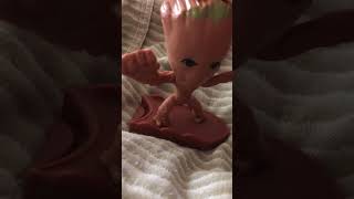 IMG 5038