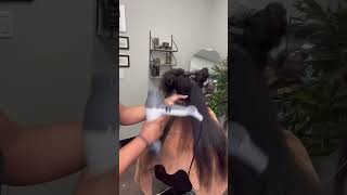 ALL THIS HAIR! Watch the end for her secret on her hair growth🤎Y’all want this full vid? #silkpress