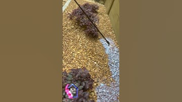 Best Landscape Rock Adhesive #landscape #newage #diy