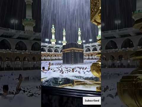 م ح م د س ي د ال ك و ن ي ن و الث ق ل ي ن      