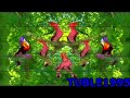 End of video