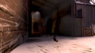 Ragdoll test