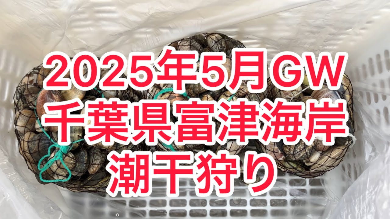 千葉県富津海岸に潮干狩りに行ってきた