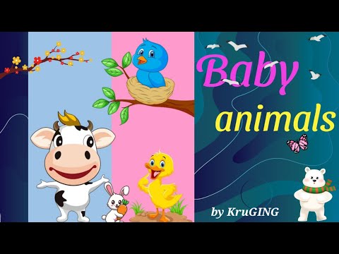 Baby animals สัตว์เล็ก l #คำศัพท์ภาษาอังกฤษ