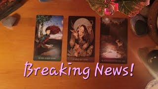 This is Your Breaking News!  | Timeless Pick-a-Card Reading