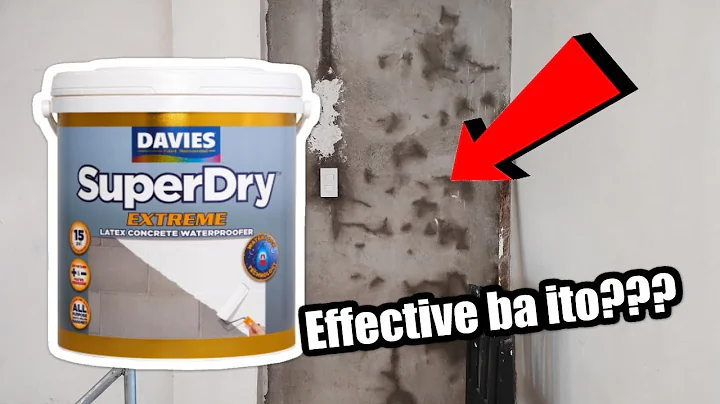 Paano mag waterproofing ng pader sa loob ng bahay | DAVIES SUPERDRY EXTREME Effective ba ito???