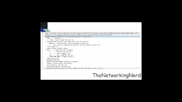 Protocol Header for Beginners