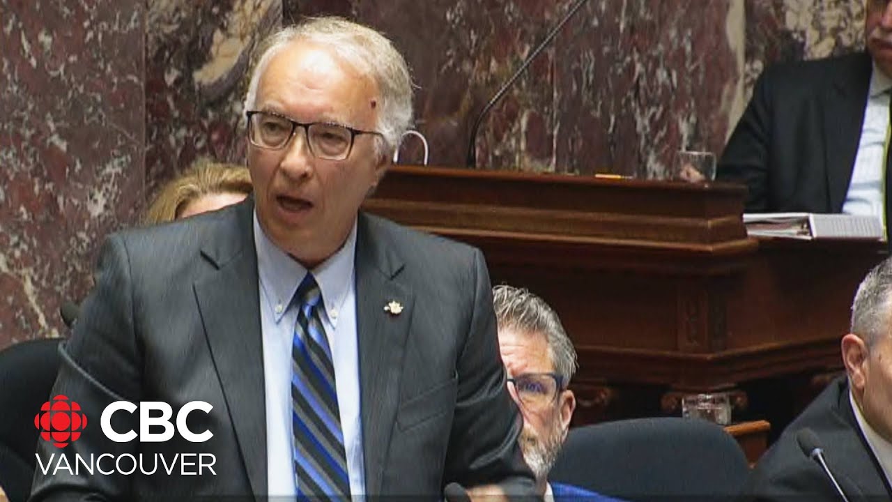 Some of B.C. Conservative shadow cabinet picks draw criticism