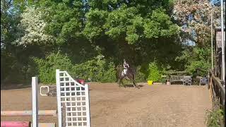 Advert reference - 310552