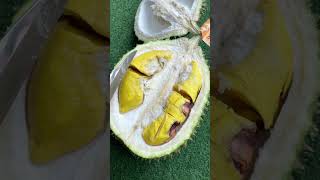 TERNYATA DURIAN MUSANGKINGNYA GAGAL #durian #musangking #masduren