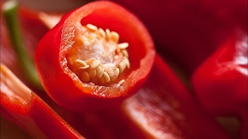 How to Grow Peppers from Seed (Cayenne) - EASY