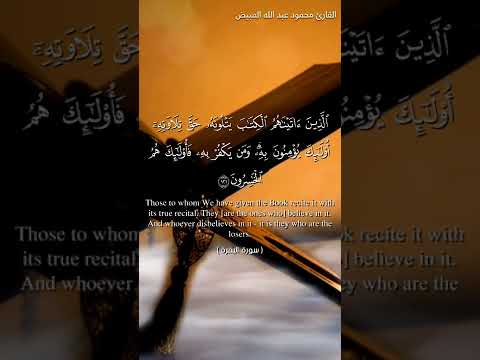 تلاوة جميلة من سورة البقرة Shorts 