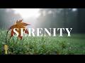 SERENITY - Healing Sounds of Ambient Guitar Vibes 🎸 Soft Relaxing Soundscape | GUITAR TRANQUILITY