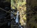 Finally went to drift creek falls #pnw #hiking #waterfalls