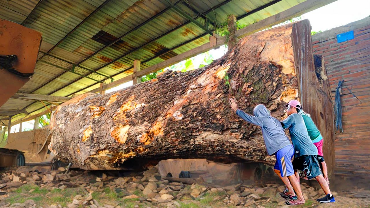 Sawmill Worker's 3 Million Dollar Dream ‼️ Turning Suar Tree Trunks ...