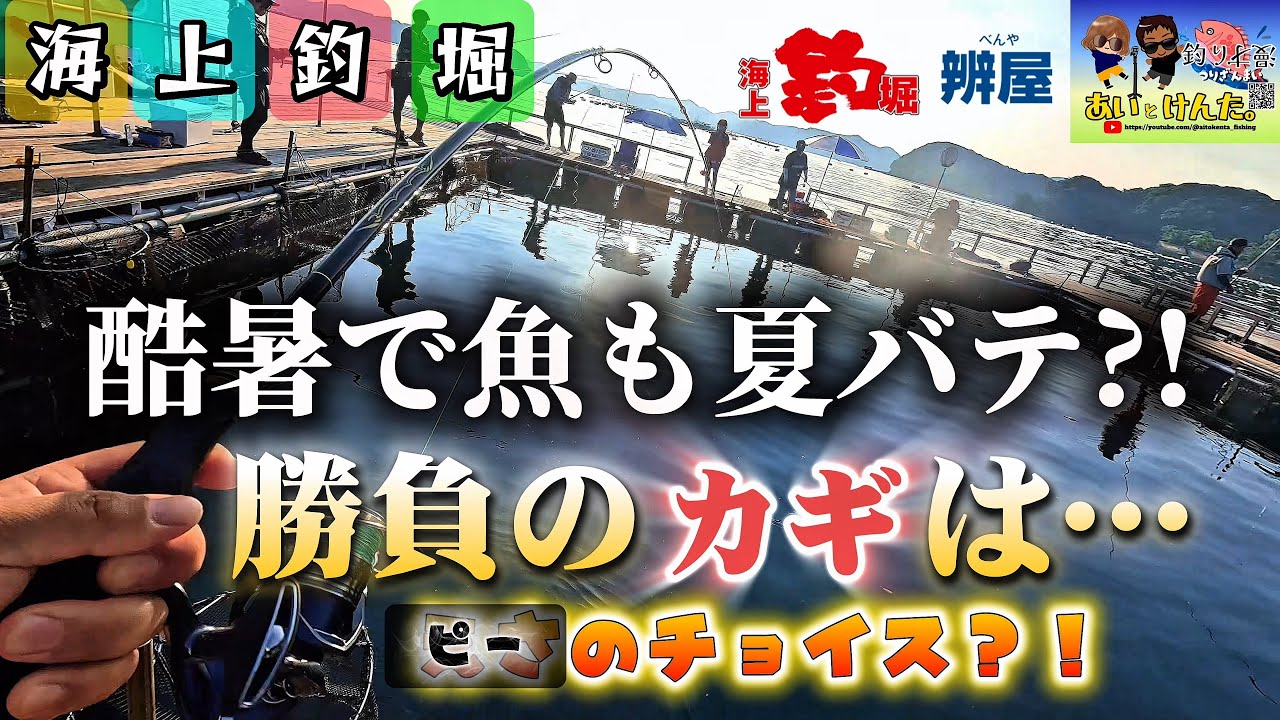【海上釣堀】辨屋　酷暑で魚も夏バテ⁈勝負の鍵を握るのは…◯◯のチョイス!!