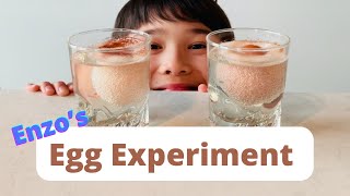 Egg in Vinegar Science Experiment | @EnzoTVidz | with SUBTITLES