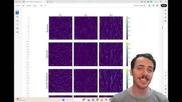 IMMI Editor