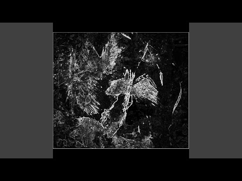 YouTubeでMountains and the Treesを視聴