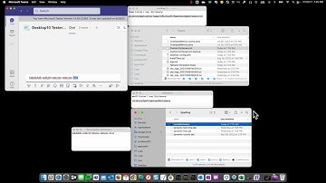 Removing words from Microsoft Teams custom/user dictionary on Macs.