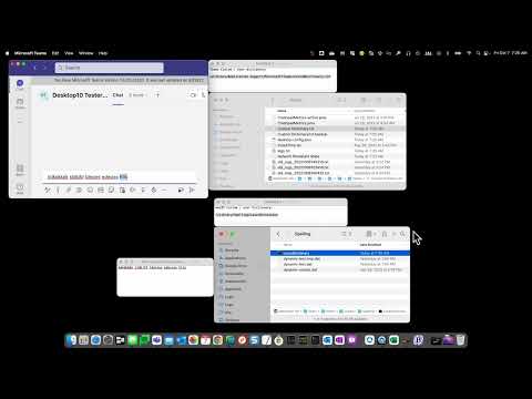 Removing words from Microsoft Teams custom/user dictionary on Macs.