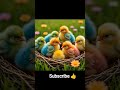 cute baby rainbow chicks 🌈🐥🐥